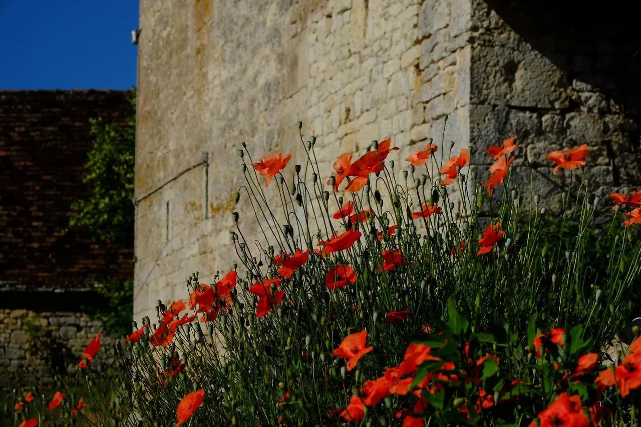 Roquedure Farm Bed and Breakfast Montfaucon  0*, Montfaucon (Lot)
