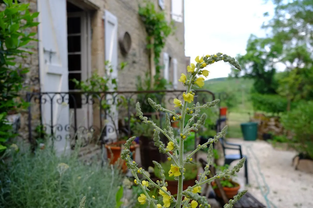 Roquedure Farm Bed and Breakfast Montfaucon  Frankrike