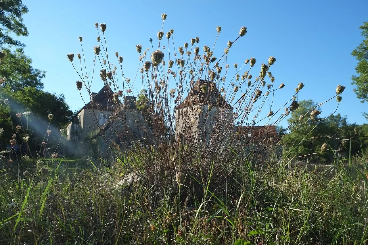 Roquedure Farm Bed and Breakfast Montfaucon  Bed & Breakfast Montfaucon (Lot)