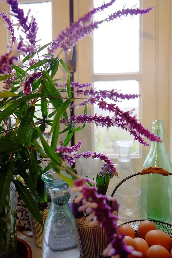 Roquedure Farm Bed and Breakfast Montfaucon