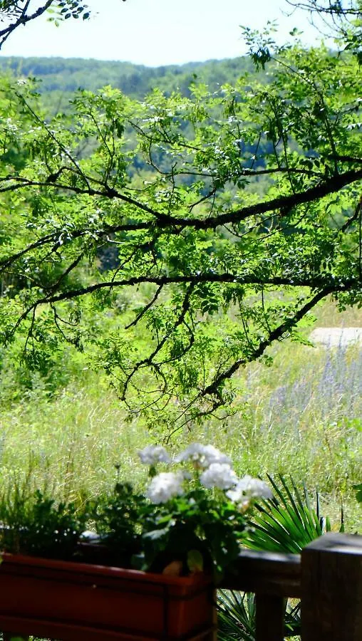 Roquedure Farm Bed and Breakfast Montfaucon  Frankrike